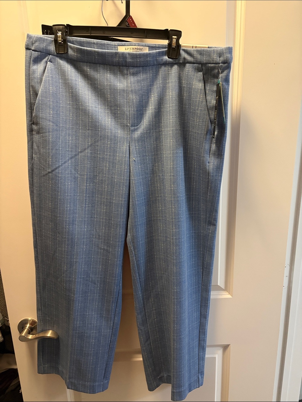 Liverpool Light Blue Ankle Cropped Pants